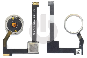 Кнопка Home со шлейфом для iPad Air 2 (A1566/ A1567)/ Mini 4 (A1538/ A1550)/ iPad Pro 12.9" 2015 (A1584/ A1652) белая фото