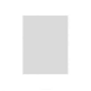 Пленка OCA для iPad 12.9"